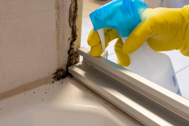 Best Crawl Space Mold Remediation in Harmony, RI