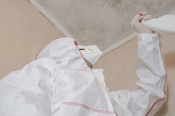 Harmony, RI Mold Remediation Company